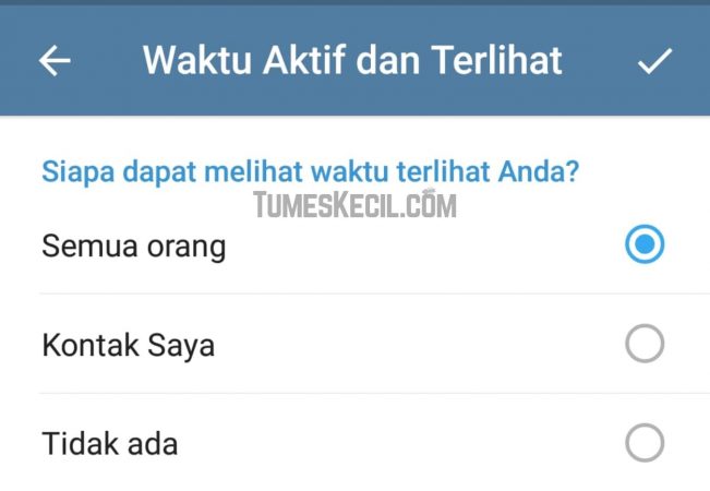 Cara Menyembunyikan Status Online di Telegram